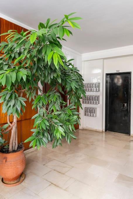 Apartment Alimos Seabreeze Athens